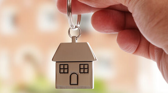 le marché immobilier 