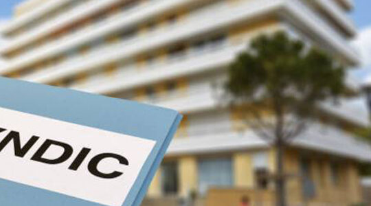 Syndic
